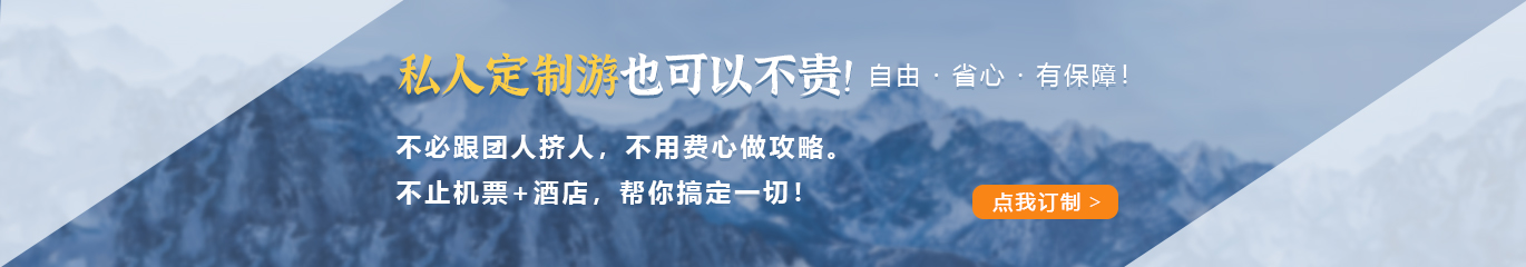 定制游